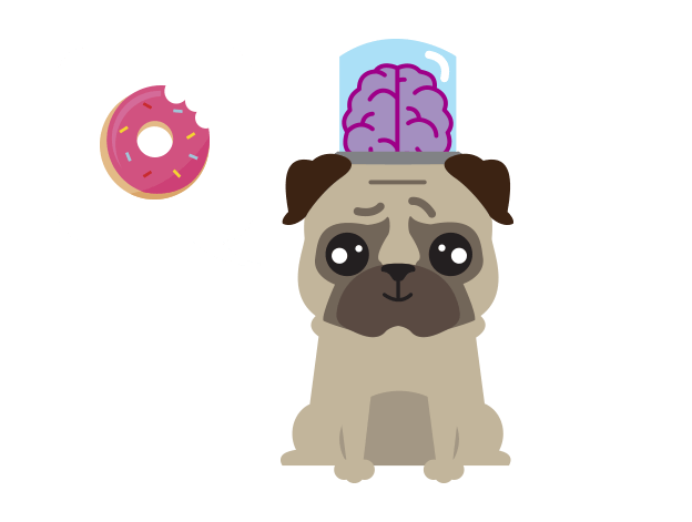 Pug-Contacto 